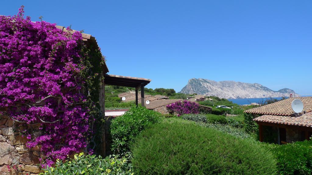 Casa Molara San Teodoro (Sardinia) Quarto foto